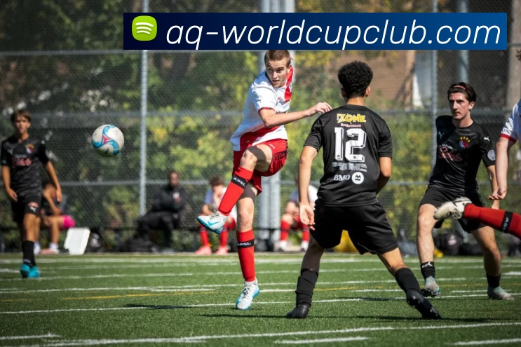 世界杯APP下载服务体系